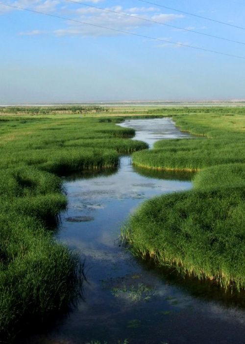 平罗天河湾黄河国家湿地公园